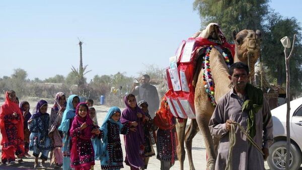 El camello Roshan lleva libros para niños - Sputnik Mundo