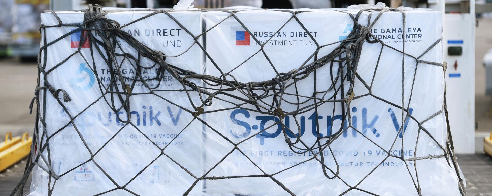 Llega a Azerbaiyán el primer lote de la vacuna rusa Sputnik V Llega a Azerbaiyán el primer lote de la vacuna rusa Sputnik V - Sputnik Mundo, 1920, 20.07.2021