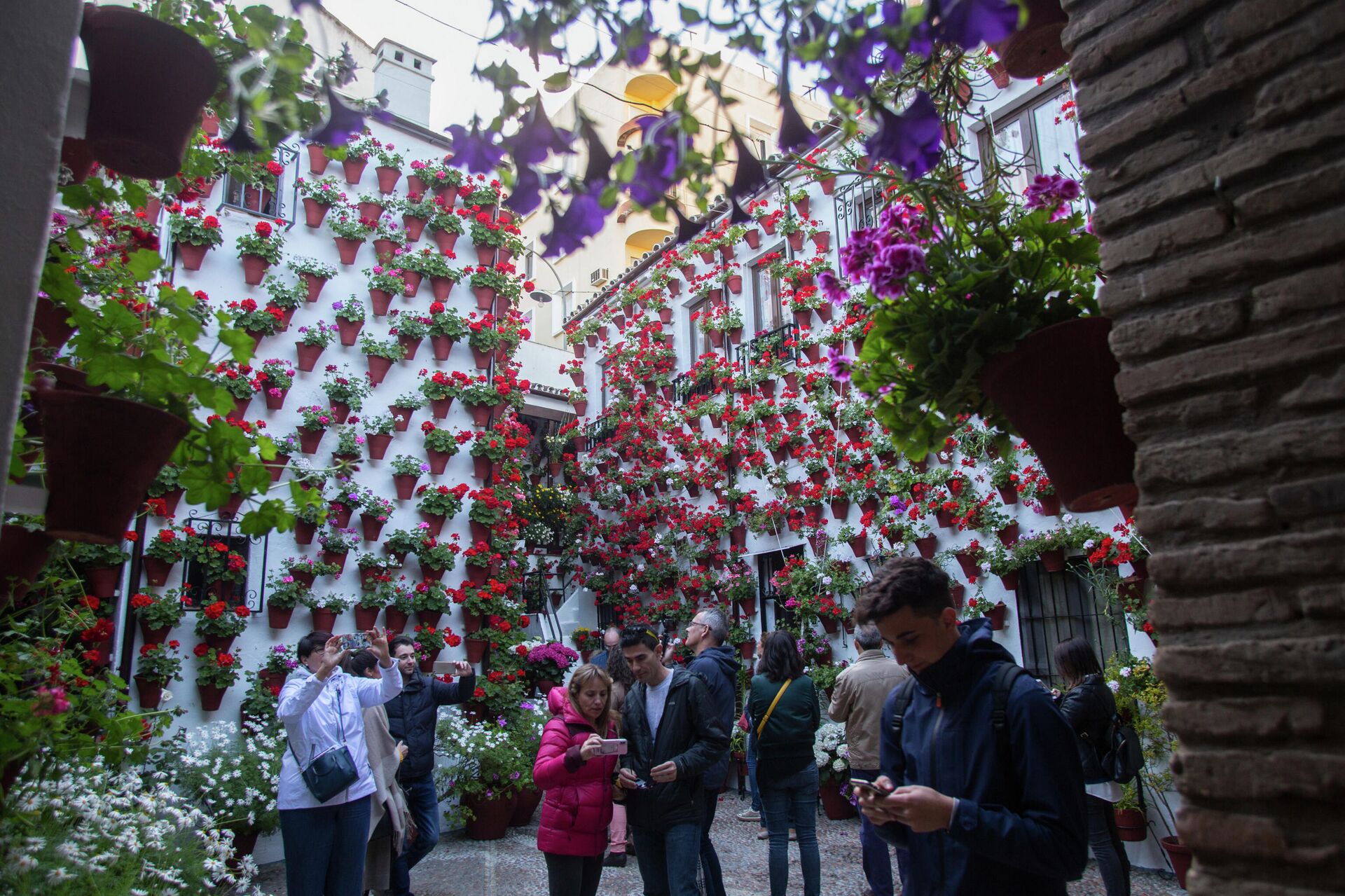 Patio de Córdoba en la edición de 2018 - Sputnik Mundo, 1920, 07.05.2021