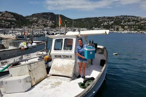 Una integrante del equipo de Cayume, una asociación de Mallorca, con huevos de tiburón Una integrante del equipo de Cayume, una asociación de Mallorca, con huevos de tiburón - Sputnik Mundo