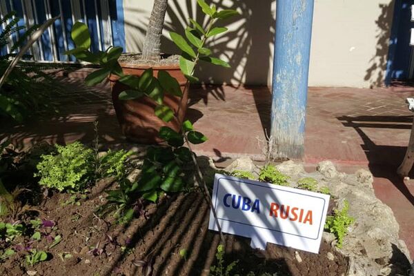 Rusos y cubanos siembran el Jardín de la Memoria en Santiago de Cuba, en honor a los caídos en la Gran Guerra Patria - Sputnik Mundo