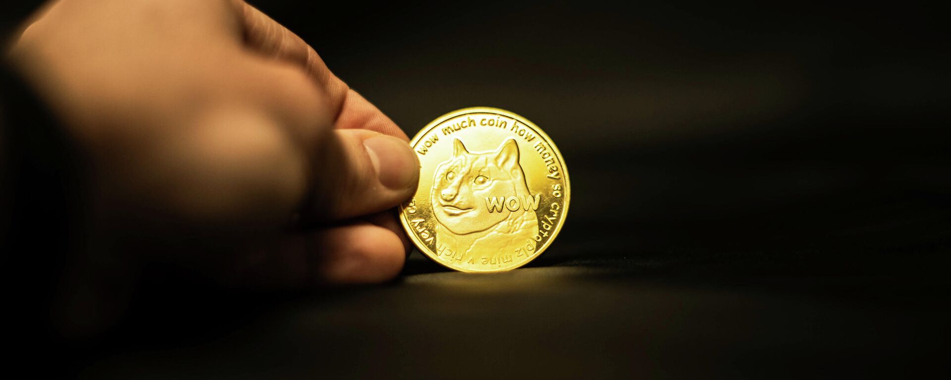 Un dogecoin - Sputnik Mundo, 1920, 07.05.2021