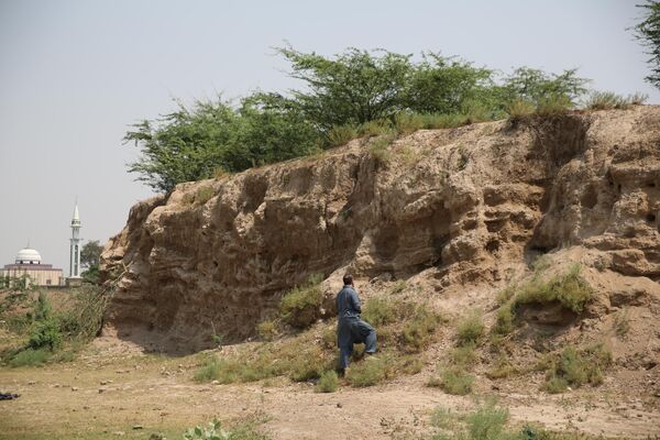 Pared de adobe que podría pertenecer a Alejandría Bucéfala (Pakistán) - Sputnik Mundo