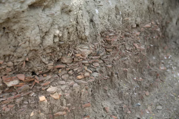 Restos de cerámica incrustados en la pared (Pakistán) Restos de cerámica incrustados en la pared (Pakistán) - Sputnik Mundo