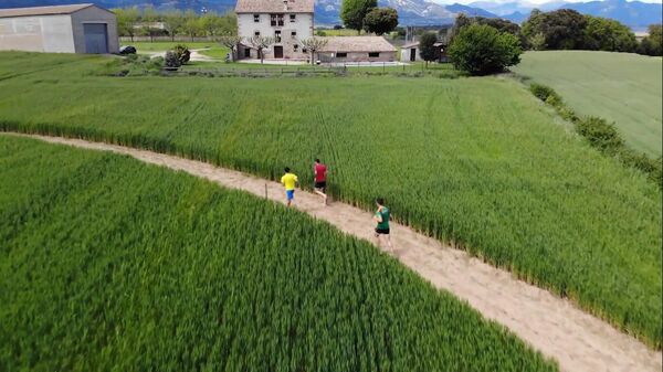 Pista de atletismo homologada en medio de un campo de trigo en Cataluña - Sputnik Mundo