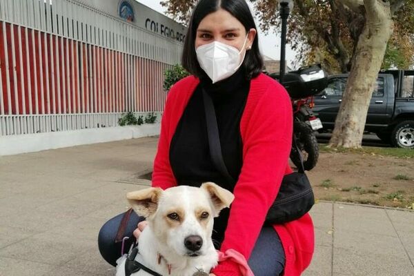 Javiera no quizo dejar fuera a Chica, su perrita, en la mega elección que comenzó este fin de semana en Chile. - Sputnik Mundo