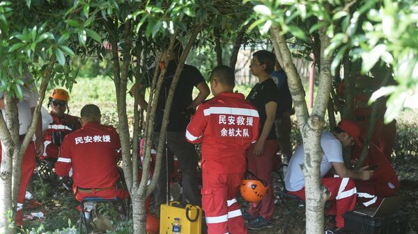 Unos rescatistas buscan leopardos que escaparon de un zoológico en Hangzhou, China - Sputnik Mundo