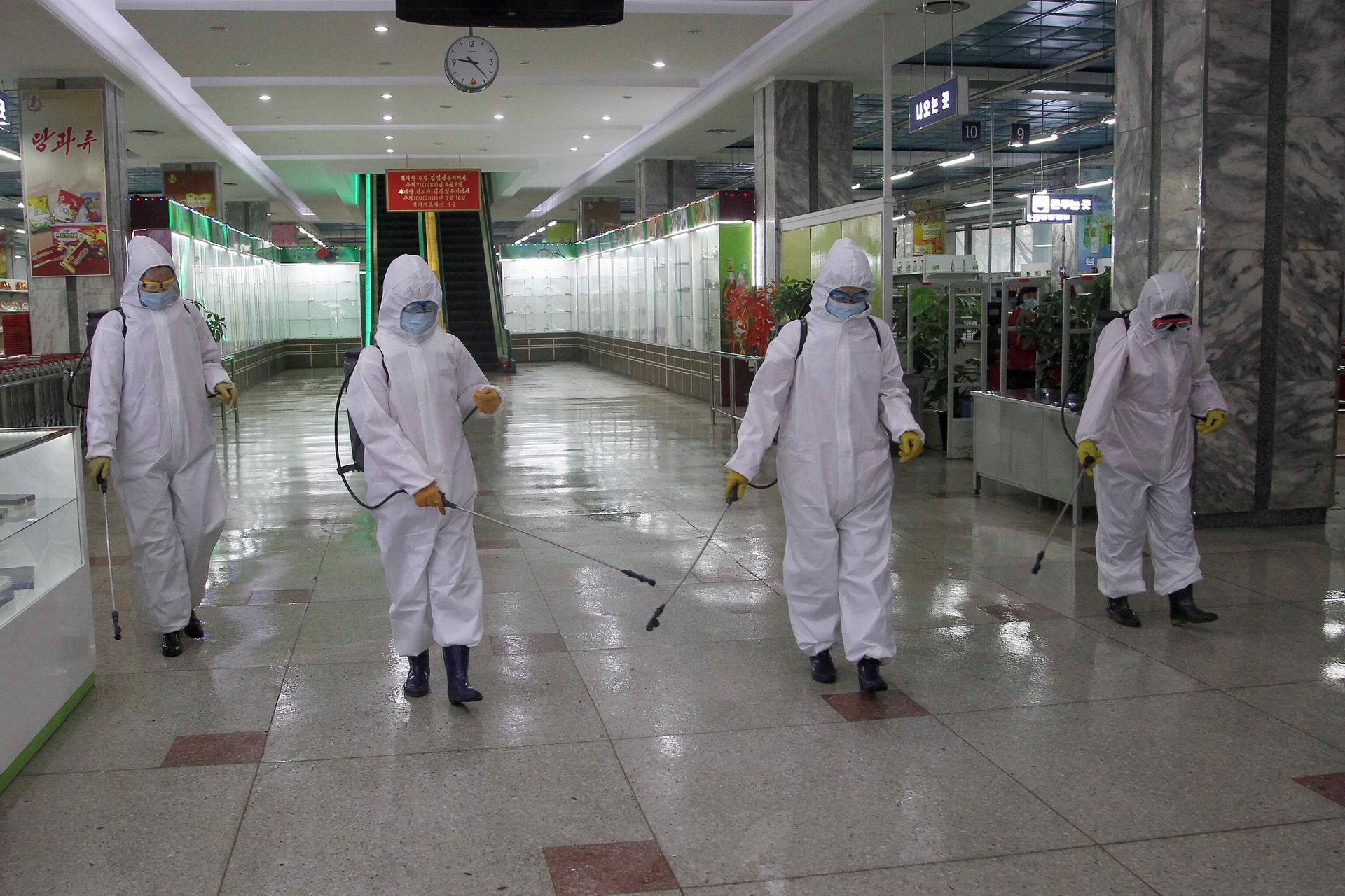 Las obras de desinfección en una tienda en Pyongyang - Sputnik Mundo, 1920, 19.05.2021