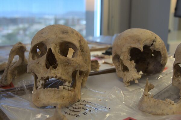 Análisis de ADN de los restos de Colón, su hermano e hijo - Sputnik Mundo