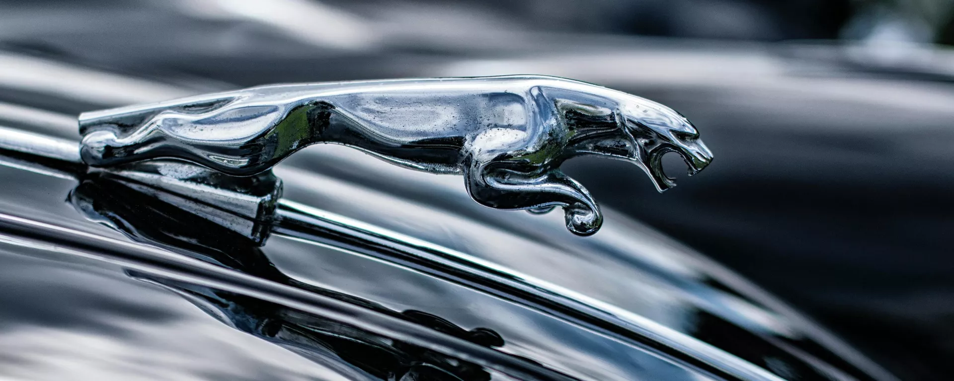 El símbolo de Jaguar en un coche de la marca El símbolo de Jaguar en un coche de la marca - Sputnik Mundo, 1920, 20.05.2021