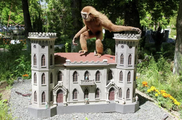 El zoológico 'Crimea en miniatura en la palma de tu mano', en Crimea, Rusia El zoológico 'Crimea en miniatura en la palma de tu mano', en Crimea, Rusia