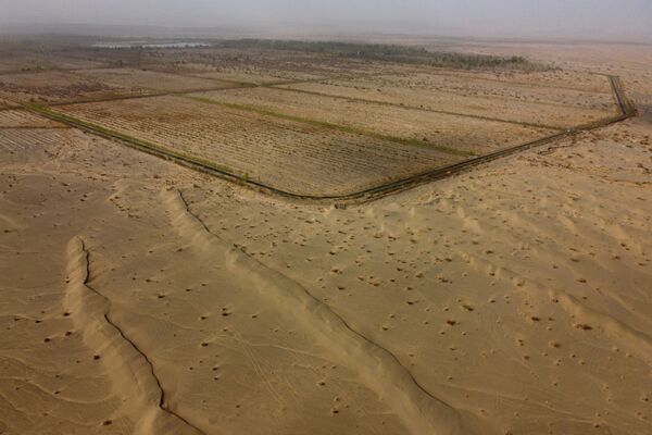 El desierto de Gobi es el tercero más grande del mundo y cubre vastas zonas de Mongolia y el norte de China. En la foto: árboles plantados al borde del desierto de Gobi, en la provincia de Gansu, en el marco del proyecto de la gran muralla verde.  - Sputnik Mundo