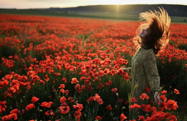 Una muchacha posa en un campo de amapolas cerca de Bajchisarái, Crimea (Rusia).  - Sputnik Mundo