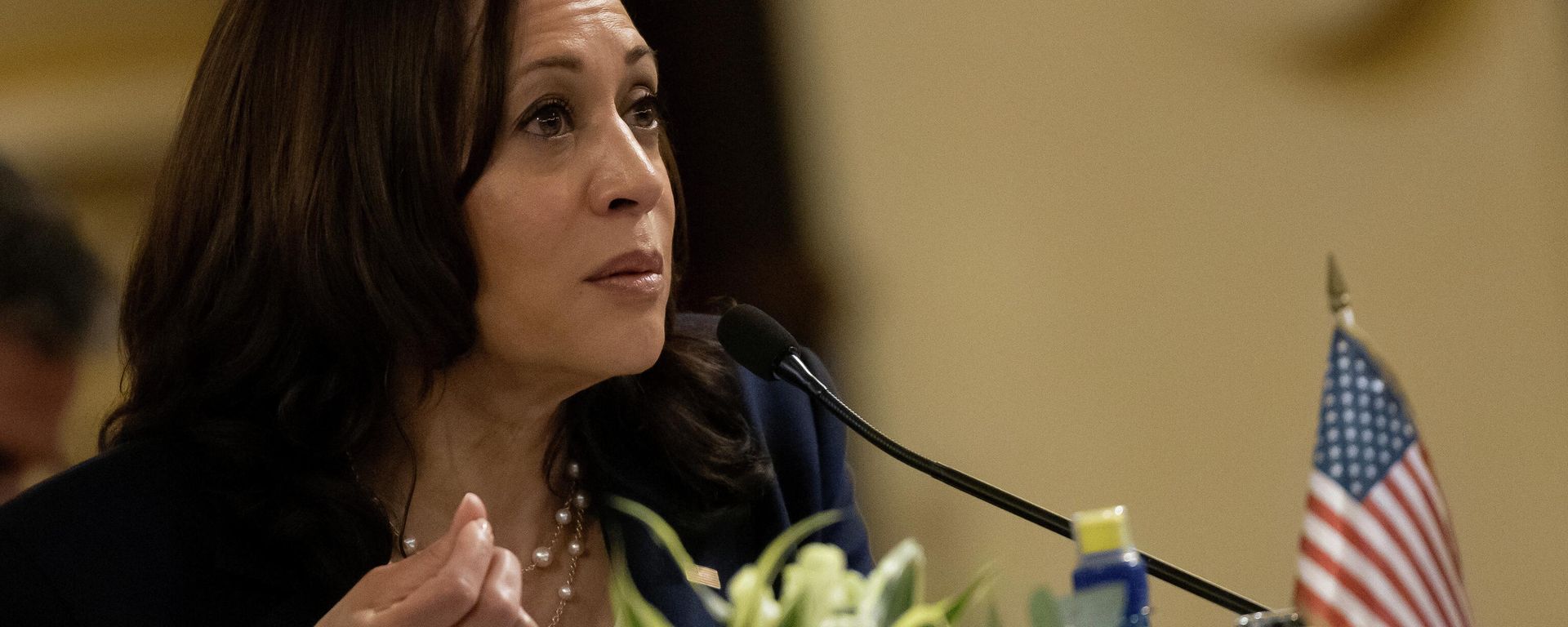 Kamala Harris, la vicepresidenta de Estados Unidos en Guatemala  - Sputnik Mundo, 1920, 07.06.2021