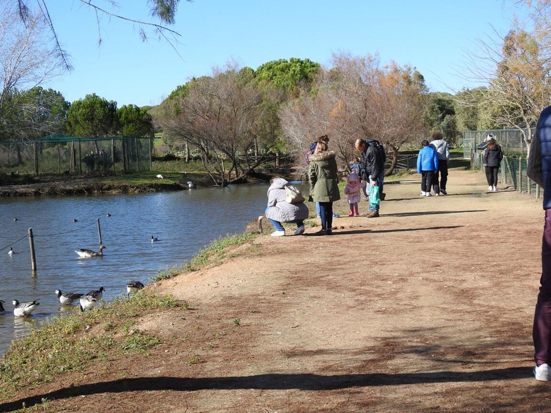 Visita a la Cañada de los Pájaros (Sevilla) - Sputnik Mundo, 1920, 08.06.2021