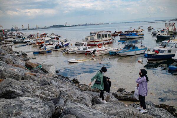 Los especialistas recogieron muestras de agua de mar y de lodo a 15 metros de profundidad y midieron algunos indicadores importantes. - Sputnik Mundo