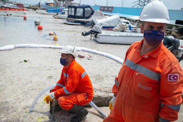 Los funcionarios públicos también participan en la operación. - Sputnik Mundo