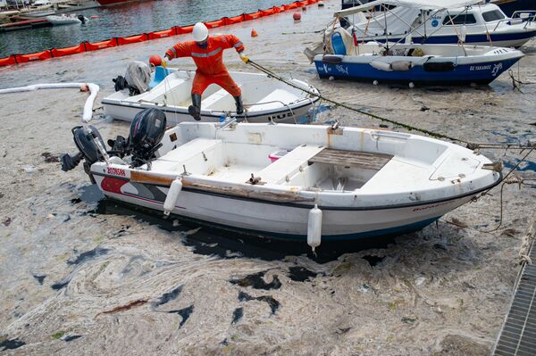 Un buceador cerca del lugar donde se desarrollan las labores de depuración, en la playa de Caddebostan, en Estambul. - Sputnik Mundo