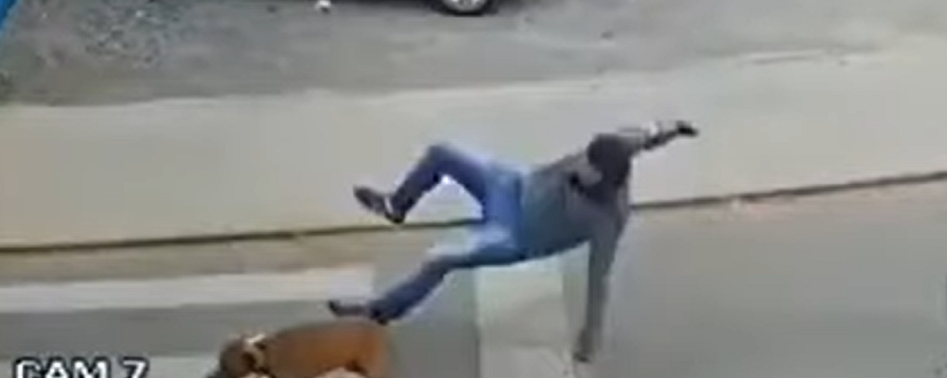 Un perro atropella a un peatón y lo manda al hospital - Sputnik Mundo, 1920, 09.06.2021