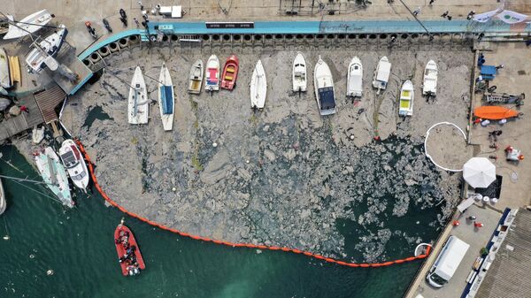 El mar de Mármara, Turquía - Sputnik Mundo