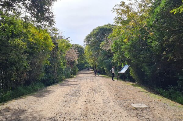 Caminar por los senderos de la Reserva Ecológica Costanera Sur es un viaje a otro mundo - Sputnik Mundo