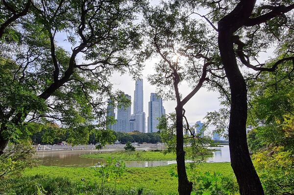 La mejor vista panorámica de Buenos Aires, ciudad de espaldas al rio, se encuentra aquí - Sputnik Mundo
