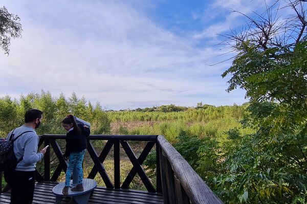 Cuenta con varios pacíficos miradores a los humedales, donde viven más de 2.000 especies de plantas y animales - Sputnik Mundo