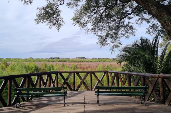 Cuenta con varios pacíficos miradores a los humedales, donde viven más de 2.000 especies de plantas y animales - Sputnik Mundo