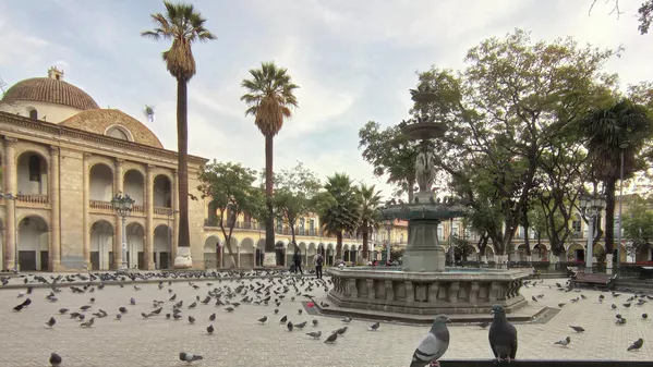 16:44. En la plaza 14 de Septiembre, centro de la Cochabamba, las palomas se adueñaron del escenario, repentinamente abandonado por quienes cotidianamente trajinan alrededor de ellas, así como las personas que compran maíz a los vendedores ambulantes (también desaparecidos) para darles de comer. - Sputnik Mundo