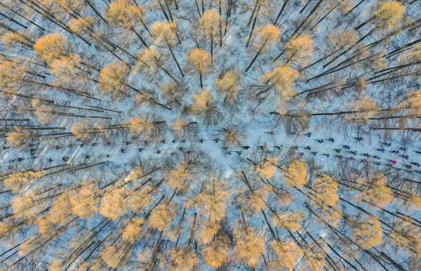 'Esquí en primavera', Chang XU, China. 'Esquí en primavera', Chang XU, China. - Sputnik Mundo