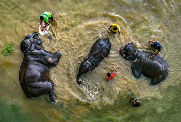 &#x27;Es  la hora del baño&#x27;, Abdul Momin, Bangladés. - Sputnik Mundo