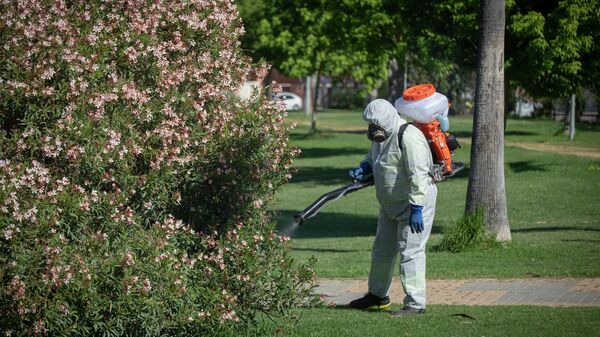 Tarea de fumigación del mosquito para prevenir el virus del Nilo Occidental en Coria del Río (Sevilla) - Sputnik Mundo