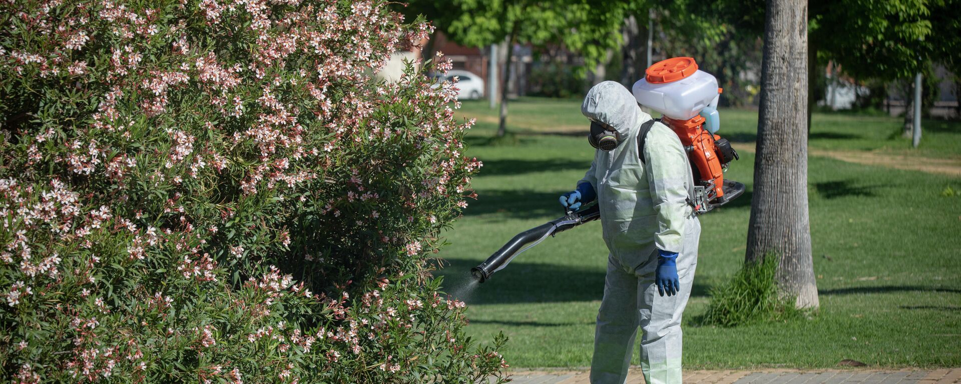 Tarea de fumigación del mosquito para prevenir el virus del Nilo Occidental en Coria del Río (Sevilla) - Sputnik Mundo, 1920, 18.06.2021