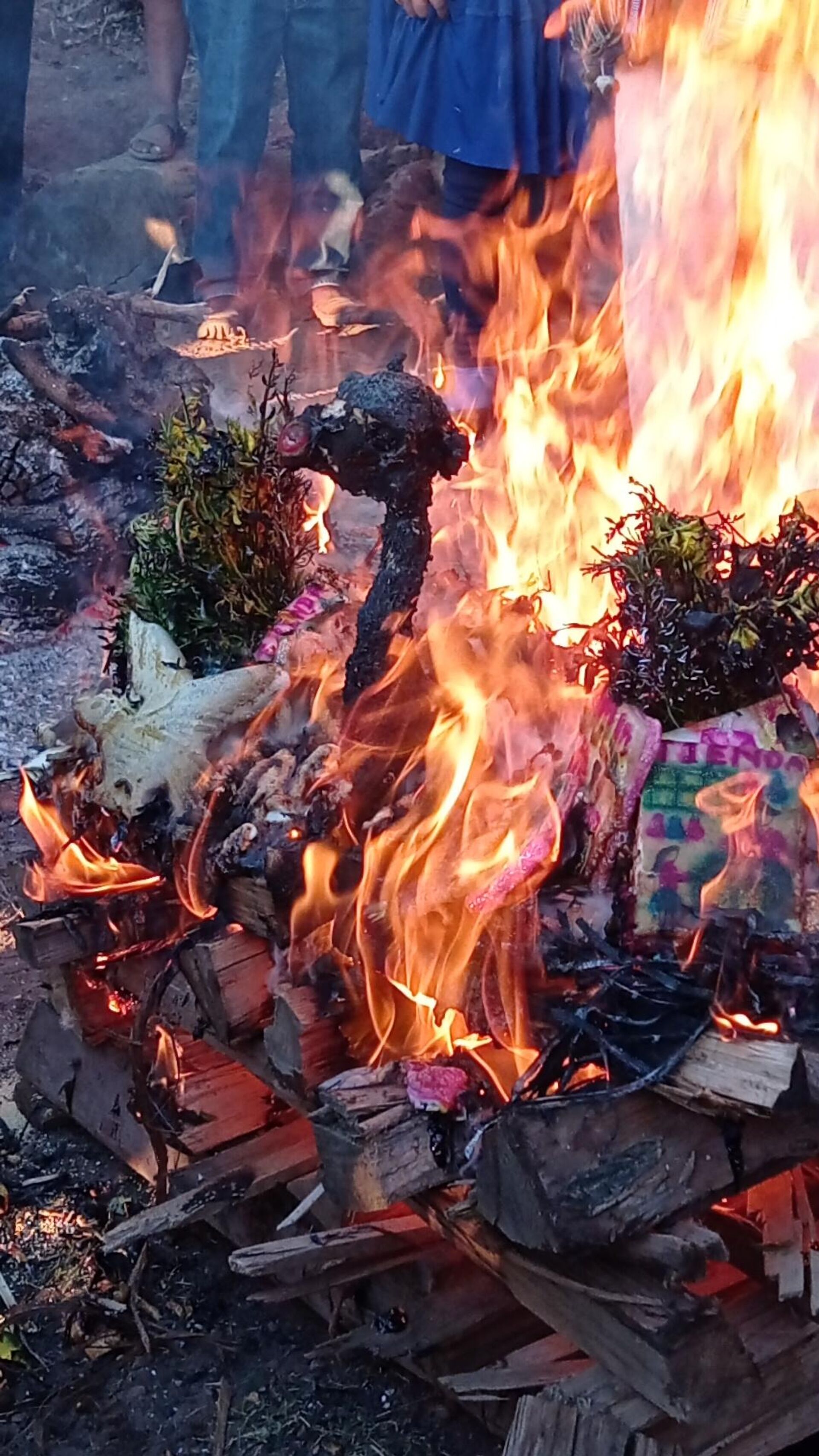 Inti Raymi: Año Nuevo Andino Amazónico 5529 - Sputnik Mundo, 1920, 22.06.2021