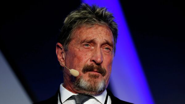 John McAfee, cofundador de McAfee Crypto Team y creador del antivirus McAfee (archivo) - Sputnik Mundo