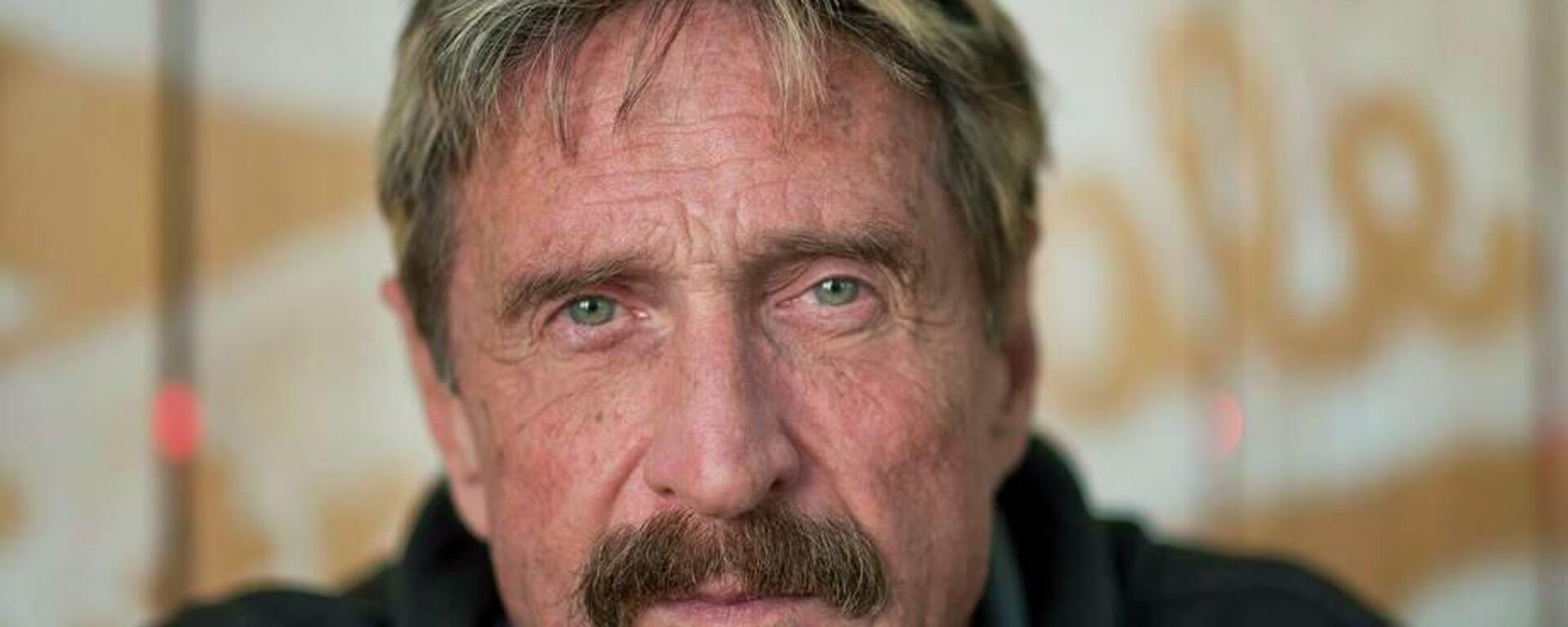 John McAfee, empresario y programador británico-estadounidense (archivo) - Sputnik Mundo, 1920, 24.06.2021