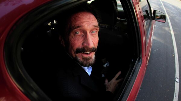 John McAfee, foto de archivo - Sputnik Mundo