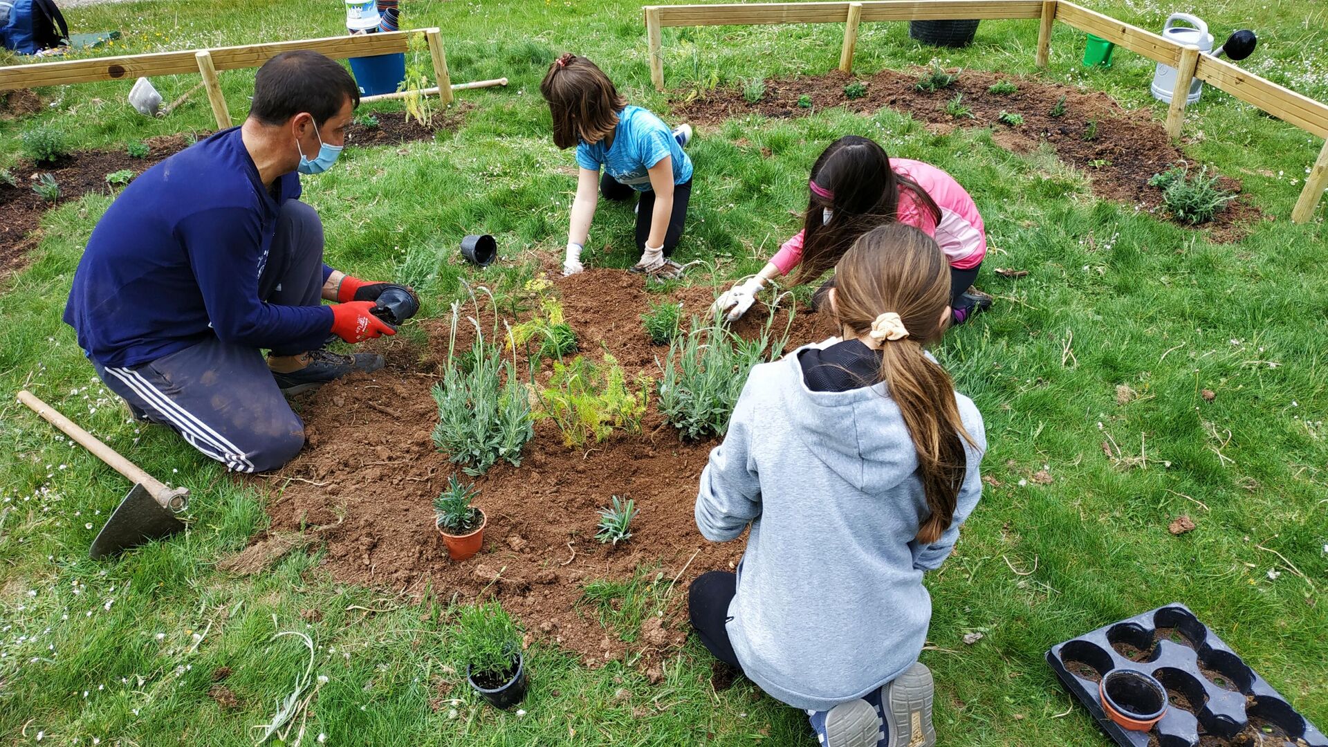 Asistentes a una actividad de la asociación española Zerynthia, que protege la biodiversidad - Sputnik Mundo, 1920, 30.06.2021