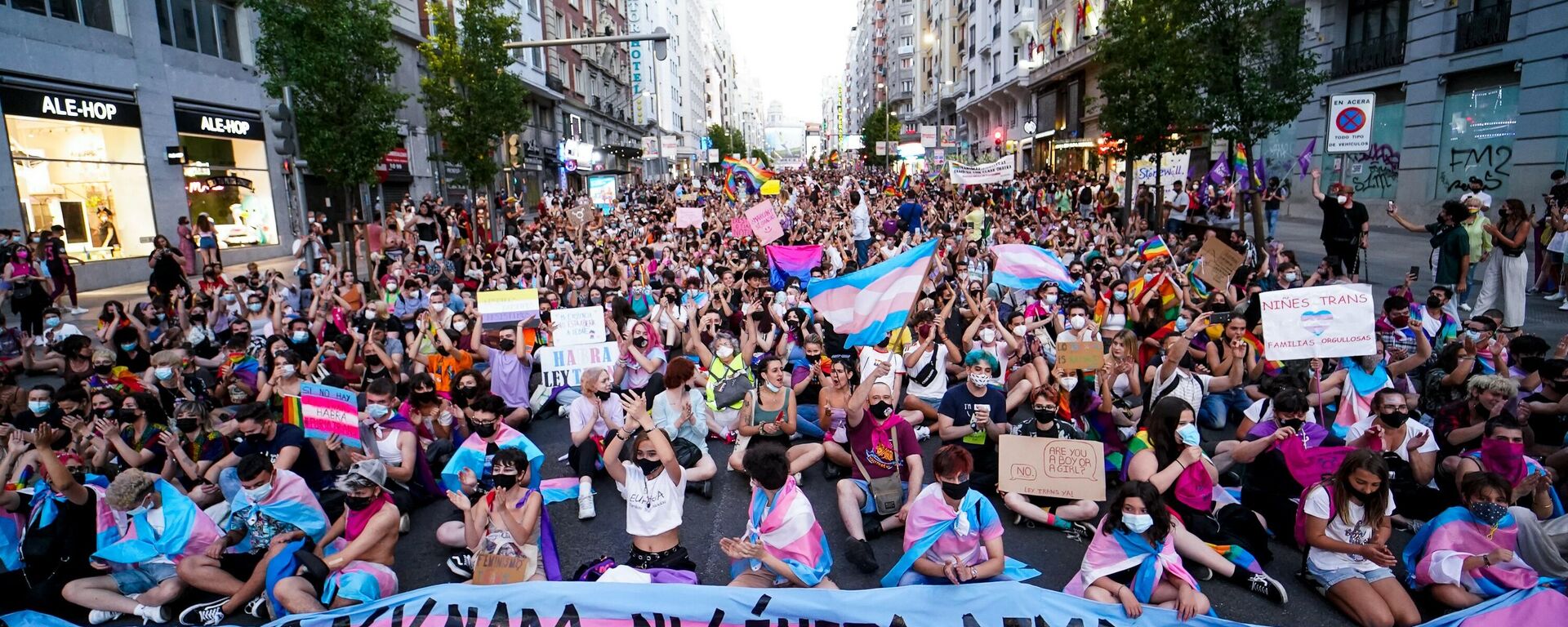 Sentada durante la manifestación de Orgullo Crítico en Madrid - Sputnik Mundo, 1920, 30.06.2021