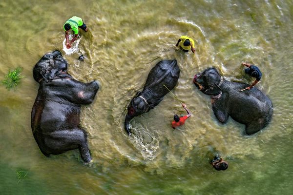 Es la hora de bañarse. Mi planeta. 
Bangladesh - Sputnik Mundo