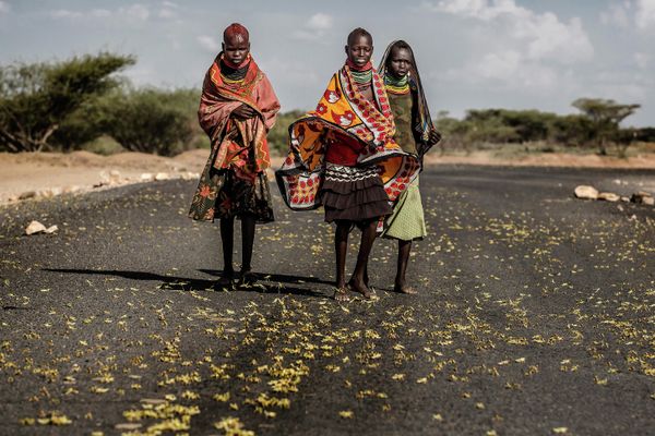 La invasión de langostas en África Oriental - Sputnik Mundo
