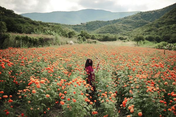 El retrato de María Elena, Elipe Mahe, México - Sputnik Mundo