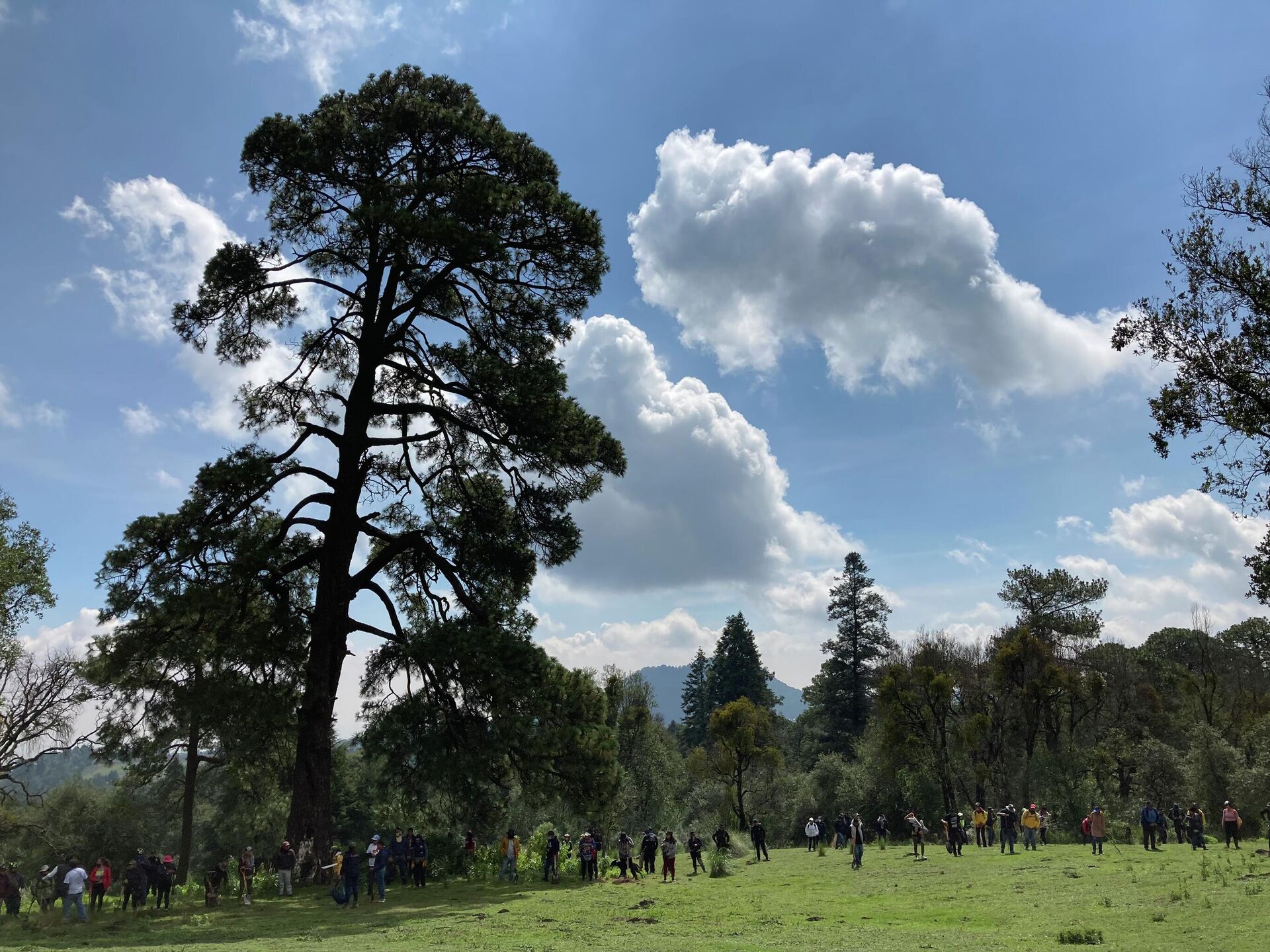 Brigada de Búsqueda en Ajusco CDMX - Sputnik Mundo, 1920, 05.07.2021