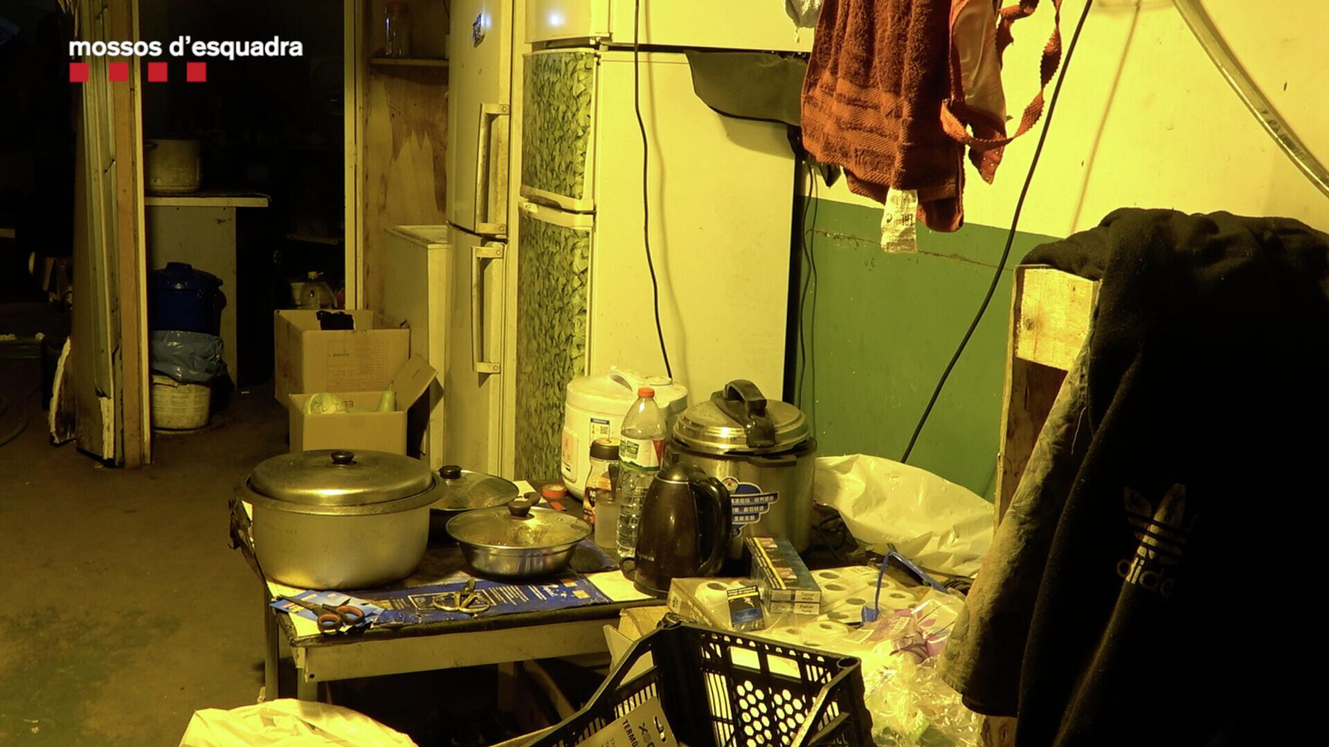 Condiciones de cómo vivían los esclavos - Sputnik Mundo, 1920, 08.07.2021