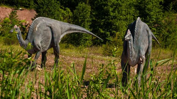 Corythosaurus (imagen referencial) - Sputnik Mundo