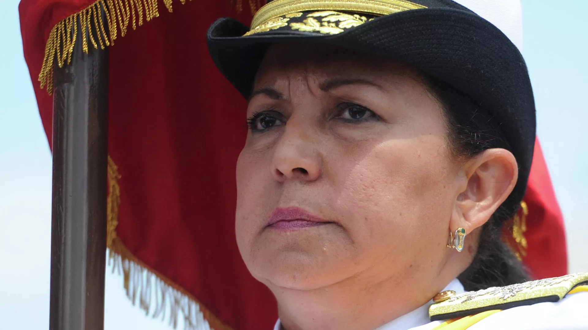 Carmen Meléndez, ministra de Interior de Justicia y Paz de Venezuela Carmen Meléndez, ministra de Interior de Justicia y Paz de Venezuela - Sputnik Mundo, 1920, 08.07.2021