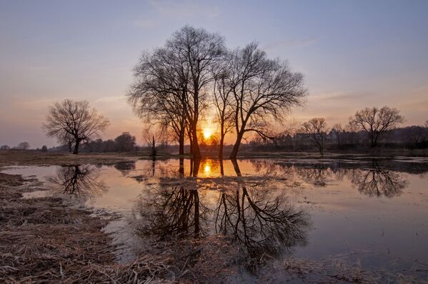 El atardecer naranja en el río Moscova, de Ana Tíschenko, capturado a las afueras de Moscú. - Sputnik Mundo