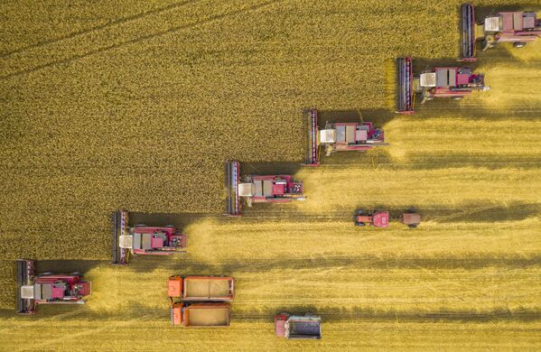 La foto de Ígor Kliajin, titulada La batalla por la cosecha, capturada en la región de Lipetsk. - Sputnik Mundo