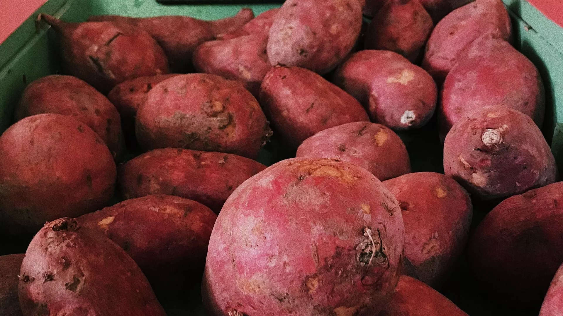 Unas batatas - Sputnik Mundo, 1920, 13.07.2021
