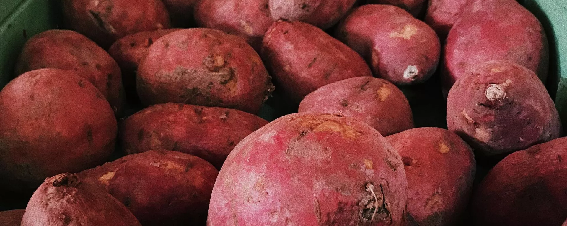 Unas batatas Unas batatas - Sputnik Mundo, 1920, 11.08.2021